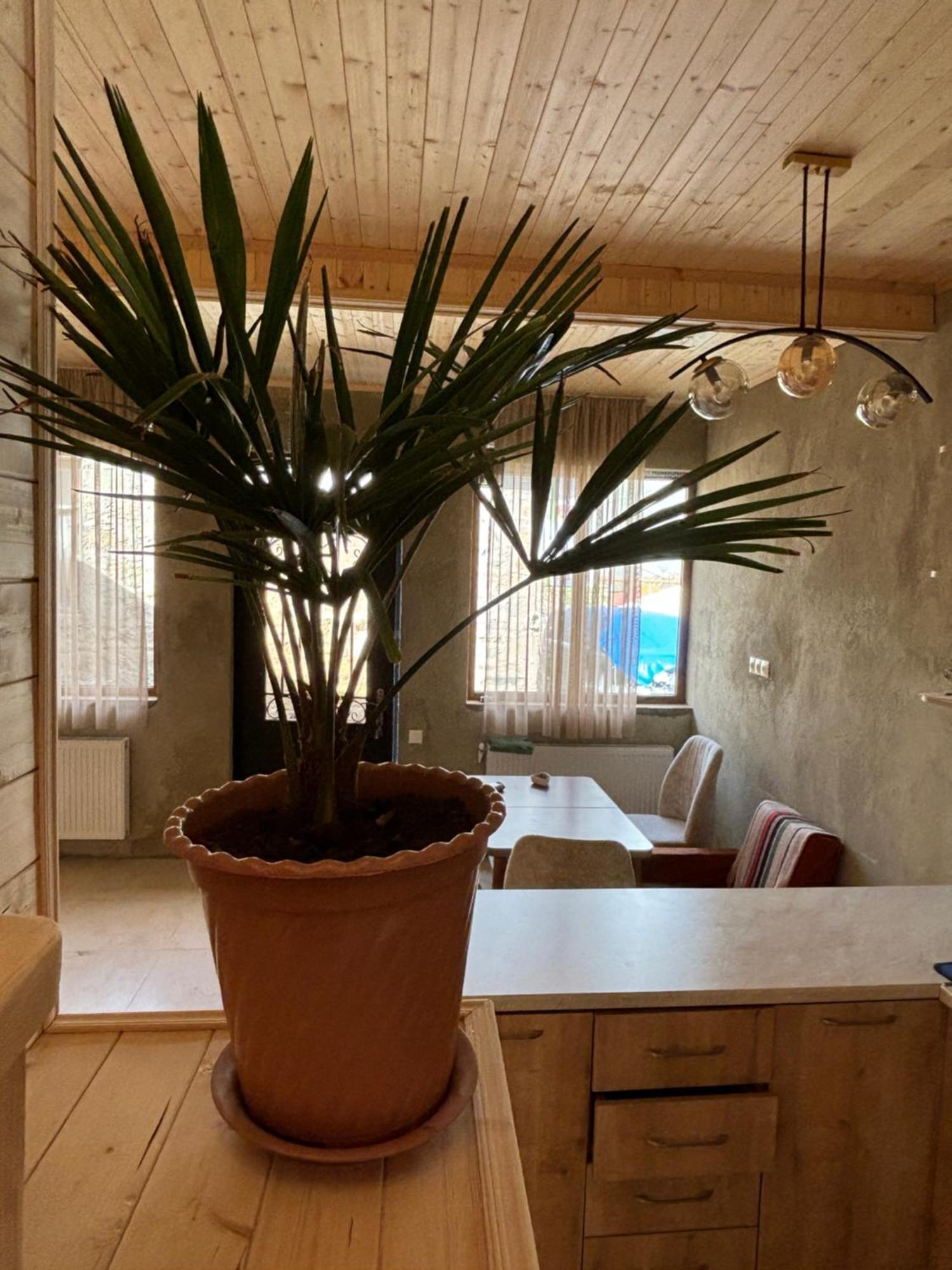 Family Hostel Nika Stepancminda Zewnętrze zdjęcie
