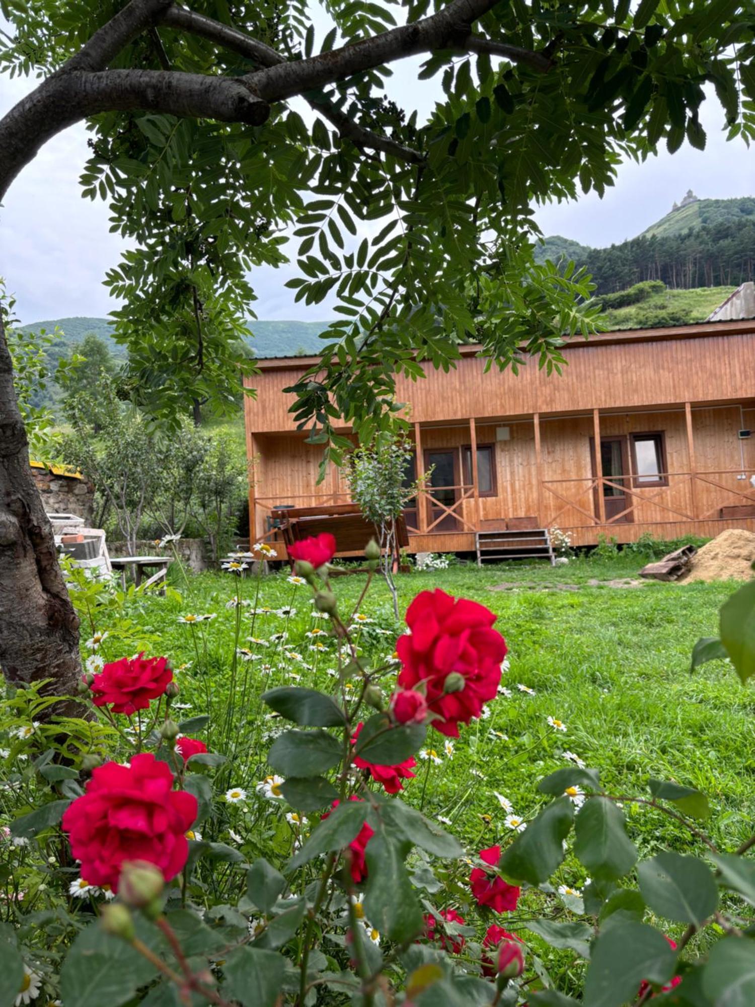 Family Hostel Nika Stepancminda Zewnętrze zdjęcie